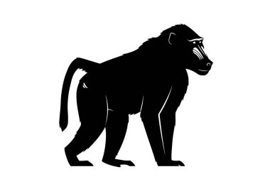 Babun silueti. Bu resim dört ayak üzerinde duran bir babunun siyah siluetini gösteriyor, belirgin yüz hatlarını ve uzun kuyruğunu vurguluyor. Clipart illüstrasyon tasarımı.