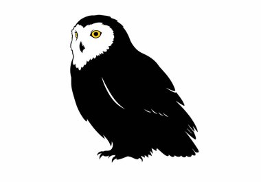 Karlı baykuş silueti. Bu resim, beyaz baykuş veya Arktik baykuş olarak da bilinen karlı baykuş siluetini gösteriyor. Clipart illüstrasyon tasarımı.