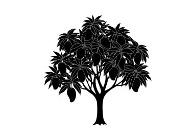 Mango ağacı silueti. Bu resim, ayrıntılı yaprakları ve meyveleri olan bir mango ağacının siyah beyaz çizimini gösteriyor. Clipart illüstrasyon tasarımı.