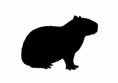 Capybara silueti. Bu resim, Güney Amerika 'ya özgü büyük bir kemirgen olan bir Capybara' nın siyah siluetini gösteriyor. Clipart illüstrasyon tasarımı.