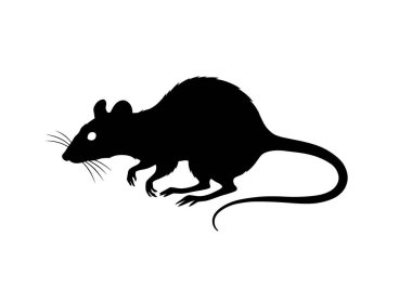 Cadılar Bayramı fare silueti. Bu resim, genellikle Cadılar Bayramı temalarıyla ilişkilendirilen ve ürkütücü bir şekilde tasvir edilen siyah bir fare siluetini gösteriyor. Clipart illüstrasyon tasarımı.