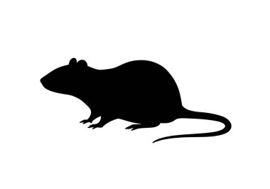 Fare silueti. Bu resim farenin siyah bir siluetini gösteriyor. Kemirgen ya da fare olarak da bilinir. Farklı vücut şeklini, kuyruğunu ve bıyıklarını tasvir eder. Clipart illüstrasyon tasarımı.