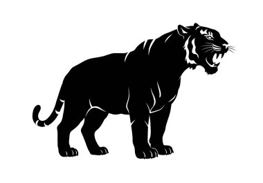 Kükreyen kaplan silueti. Bu görüntü kükreyen bir kaplanın siyah siluetini gösteriyor. Keskin ve pürüzlü ışınlarla çevrili. Güneş patlaması desenine benziyor. Clipart illüstrasyon tasarımı.