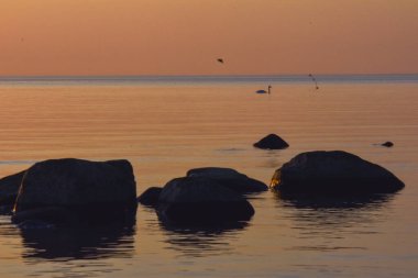 gün batımında Baltık Denizi