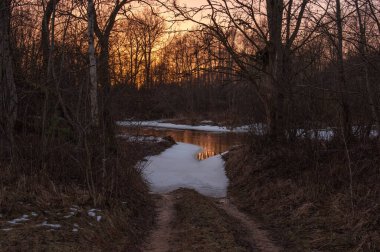 Ormanda kış günbatımı