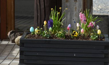 Bahçede bahar çiçekleri