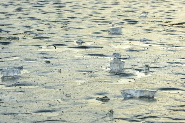 Sahilde donmuş su yüzeyi.