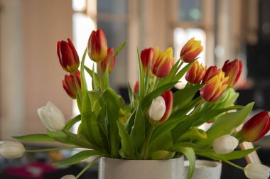 Vazoda kırmızı ve beyaz çiçekler