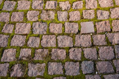 Parktaki kaldırım taşları