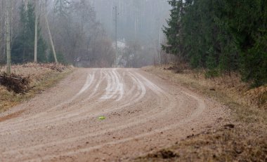 Ormanda güzel bir yol manzarası.