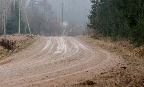 Ormanda güzel bir yol manzarası.