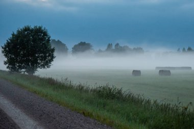 Kırsalda sabah sisi