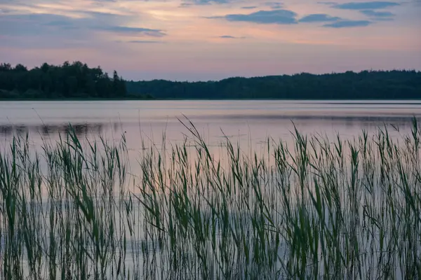 Gün batımını gölün üzerinde, ön planda suyla.