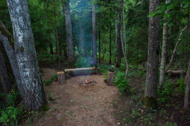 Ormanda güzel bir kamp ateşi manzarası..