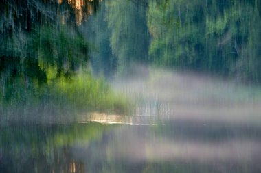 güzel doğanın resimsel manzarası