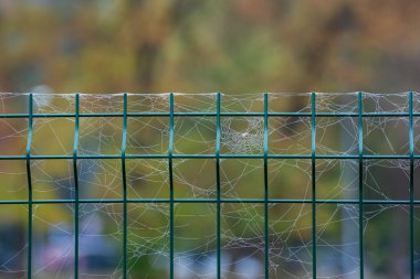 Çitin arka planındaki ağı kapat. Seçici odaklanma. Kalın bir alan derinliği. seçici odak.
