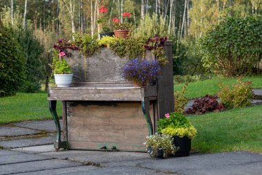 Sonbaharda güzel bir bahçe.