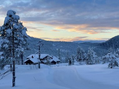 Norveç 'in Sjusjoen şehrinde kış gündoğumu altında buzlu ağaçlarla çevrili karla kaplı kulübeler ve yuvarlanan tepeler.