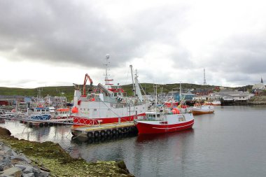 Norveç 'in Honningsvaag kenti yakınlarındaki kayalık bir yüzeyde dinlenen ren geyikleri heybetli boynuzlarını sakin bir Kuzey Kutbu manzarasında sergiliyor. Norveç 'in doğal ortamında vahşi yaşama bir bakış.