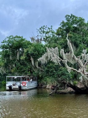 New Orleans, Louisiana yakınlarındaki dar bir su yolunda yol alan Bayou yolcu botu, yosun kaplı ağaçların yanından geçiyor ve nehir kıyısında yemyeşil bir arazi.