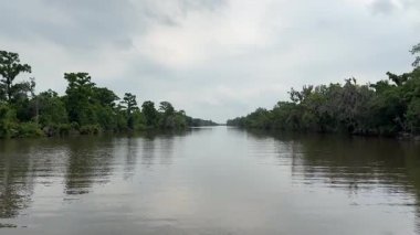 Durgun sulardan yansıyan sık ağaçlar ve yemyeşil bitkilerle dolu düz bir nehir boyunca yavaş, manzaralı bir yolculuk Louisiana 'nın sulak alanlarının huzurlu atmosferini yakalıyor.