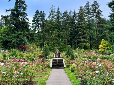 Portland, Oregon, ABD - 9 Eylül 2024: Washington Park 'taki Uluslararası Gül Test Bahçesi canlı gül yatakları, manikürlü yollar ve yemyeşil gökdelenlerle çevrili