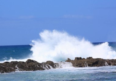 Güçlü okyanus dalgaları Hawaii 'deki Pupukea Sahil Parkı' nda açık mavi gökyüzünün altında kayalık kıyılara çarpıyor.