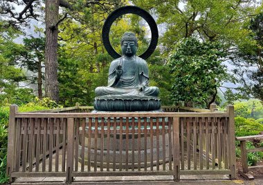 San Francisco, Kaliforniya, ABD - 18 Eylül 2024: Geleneksel Japon unsurlarının ve yemyeşil yeşilliğin yer aldığı Golden Gate Park 'taki Japon Çay Bahçesi' nde huzurlu bir manzara