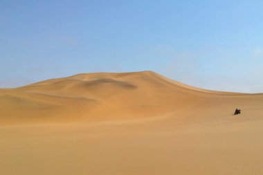 Swakopmund, Namibia - September 18, 2019: A lone rider on an ATV traverses the vast golden sand dunes of the Namib Desert under a clear blue sky, highlighting the scale of the arid landscape clipart