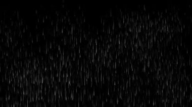 Düşen Yağmur Efektleri siyah arkaplan stok videosu üzerinde izole edildi. mp4