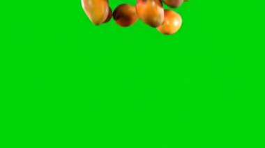 Düşen mangolar Animasyon Yeşil Ekran arkaplan stok video