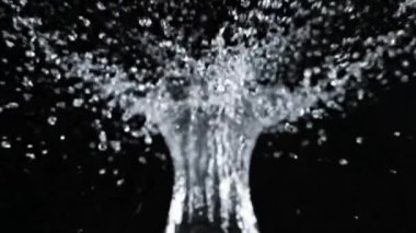 Dinamik bir su damlası siyaha sıçrama videosu, tazeliği, saflığı ve hareketi sembolize eder. Reklam, içecek promosyonları, ürün açıklamaları, doğa sahneleri ve yüksek netlikteki dijital efektler için mükemmel.