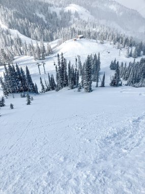 Dağlarda Pudra Kayağı Koşusu