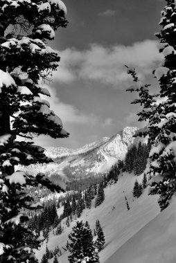 Dağda siyah beyaz kayak izleri