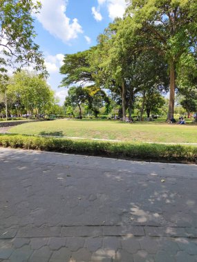 Lüks Ağaçları ve Yürüyen Yolu olan Şehir Parkı İnsanlar Rahatlatıcı Çevrede Doğanın Zevkini Çıkarıyor