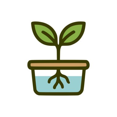 İki yapraklı ve besin değeri yüksek su kabında açığa çıkmış köklerle hidrofonik bitki yetiştirmenin renkli basit tasarımı.