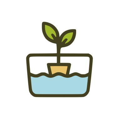 Basit ve modern hidrofonik bahçe kavramını gösteren, cam kabın içindeki mavi dalgalı suyun üzerinde gelişen tek sağlıklı bitki.