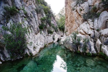 Sakin bir nehir zarif bir şekilde akar, engebeli kayalar ve derin bir kanyonun ortasında yemyeşil ağaçlarla çevrilidir.