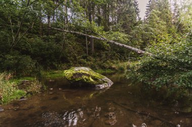 Eylül 'de Letonya' daki Viesata nehrinin doğa yolunda büyük bir taş.