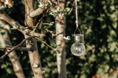 Solar light bulb is hanging on the apple tree branch in the garden at spring clipart