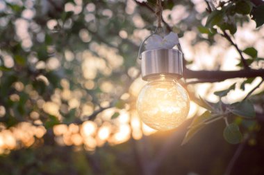 Sun shining through garden light bulb during the sunset clipart