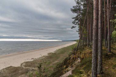 Letonya 'nın Klapkalnciems kentindeki Baltık Denizi (Riga Körfezi) plajı, bahar günü bulutlu