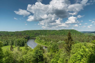 Yazın Sigulda, Letonya 'daki tepeden Gauja nehir vadisine manzara