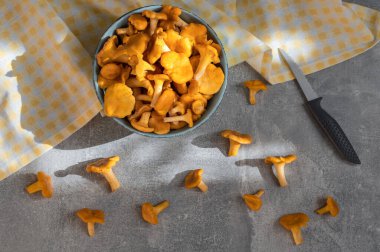 Güneşli bir günde mutfak masasında bir kase temiz Chanterelle mantarı, bıçak, havlu..