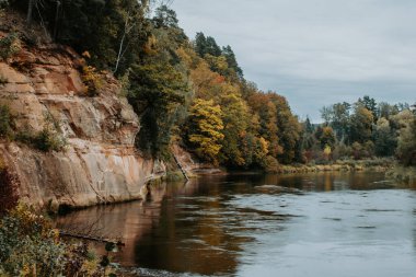 Letonya 'nın Sigulda kentindeki Gauja nehrindeki kırmızı kumtaşı kayalıklarının manzarası bulutlu bir sonbahar gününde