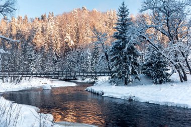 Amata nehri, ahşap köprü, Letonya 'da güneşli kış gününde karlı orman.