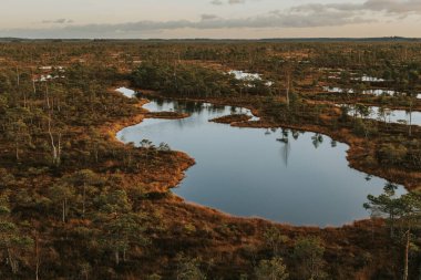 Ocak ayında Letonya 'nın Büyük Kemeri Bataklığı' na yukarıdan bak