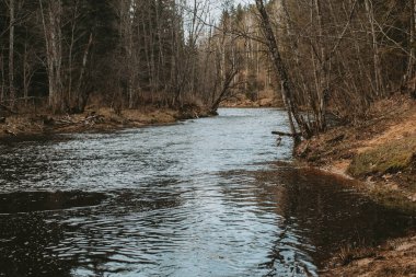 Brasla river, Latvia at early spring clipart