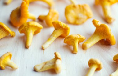 Ahşap yüzeyde Chanterelle mantarları