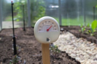 Beyaz plastik termometre, seradaki tahta zemine vidalanmış. Sıcaklık 30 derece..